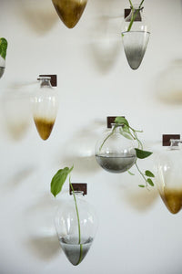 Design Shop Envision Wall Mount Vase 7.5"x 12.25", Set of 4