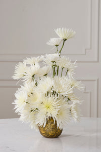 Design Shop Everen Vase 7.25"x 6.5"