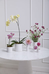 Design Shop Everest Vase 3.5"x 7", Set of 2