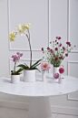 Design Shop Everest Pot 4.5"x 4.25", Set of 4