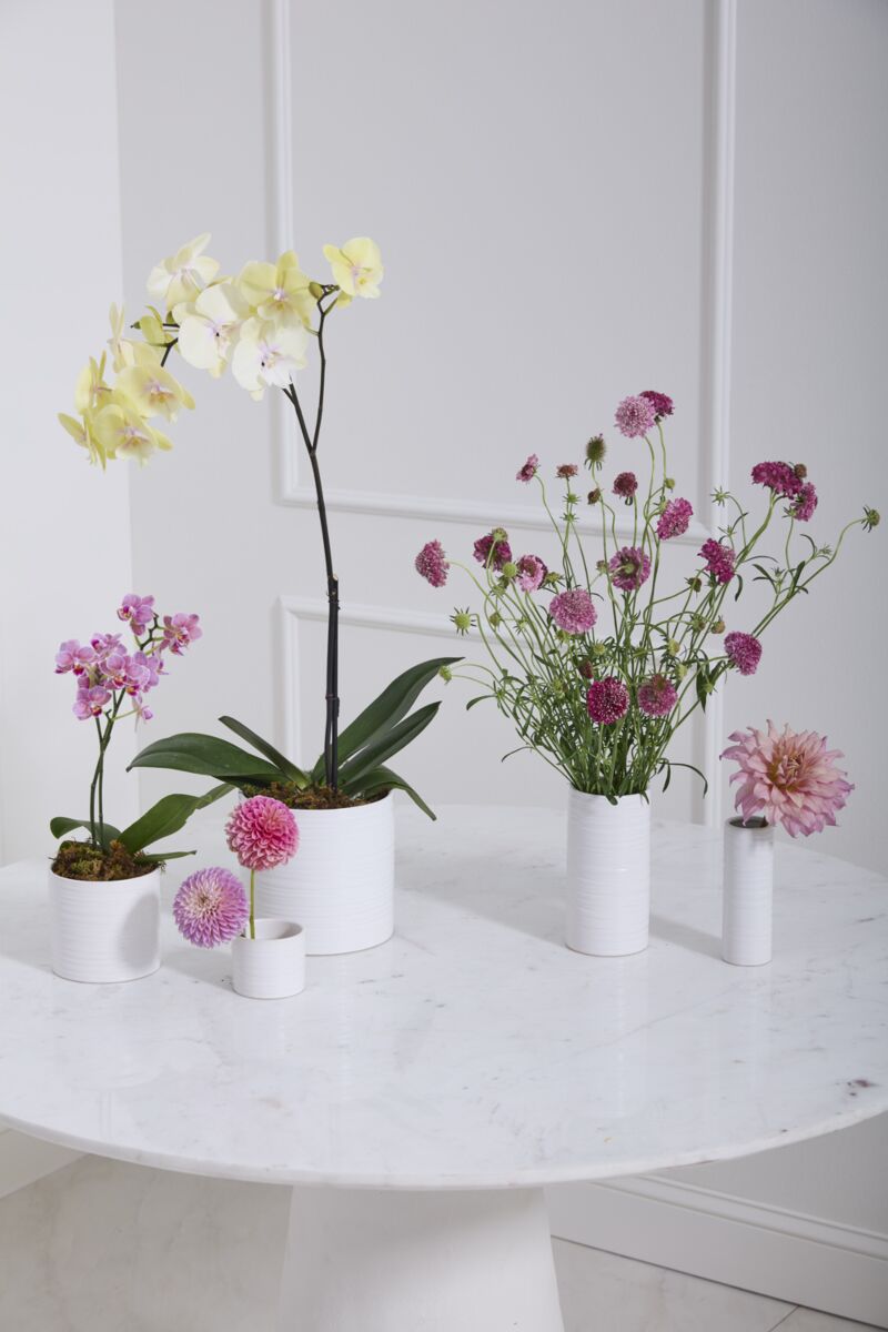 Design Shop Everest Pot 6.75"x 6.25"