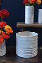 Design Shop Everest Pot 3"x 2.5", Set of 6