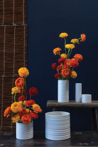 Design Shop Everest Pot 6.75"x 6.25"