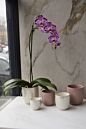 Design Shop Everly Pot 4"x 4", Set of 4