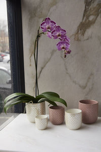 Design Shop Everly Pot 4"x 4", Set of 4