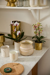 Design Shop Everly Pot 5"x 5.5", Set of 2