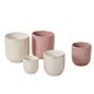Design Shop Everly Pot 5"x 5.5", Set of 2
