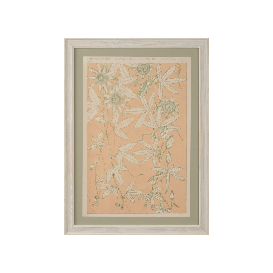 Chelsea House Leaves From Nature No.10