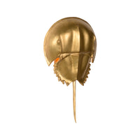 Chelsea House Horseshoe Crab Sconce - Gold