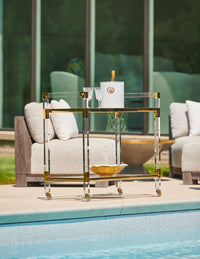 Chelsea House Acrylic Bar Cart - Brass