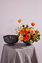 Design Shop Fable Compote 8"x 4.25"