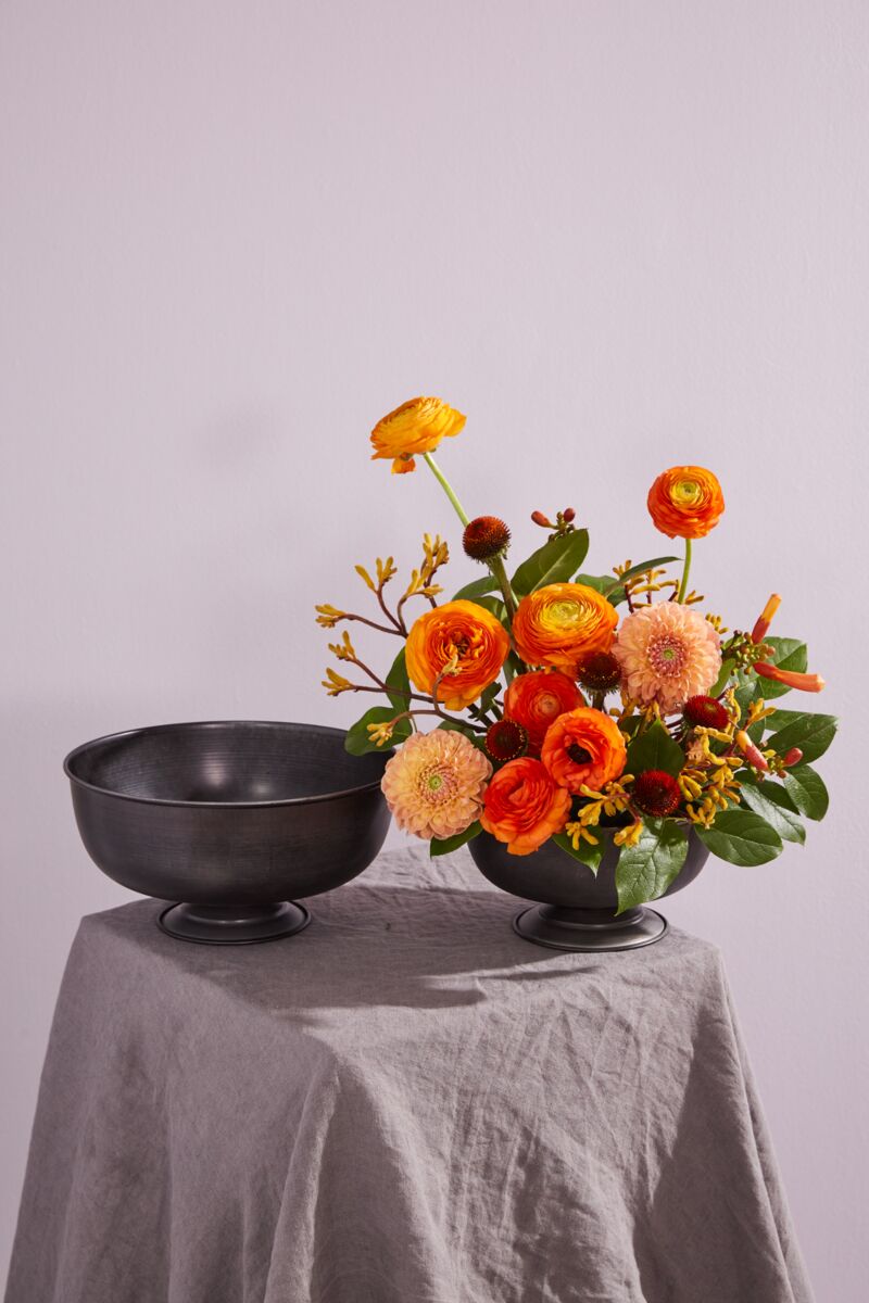 Design Shop Fable Compote 8"x 4.25"