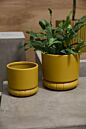 Design Shop Fara Pot 5.25"x 5", Set of 2