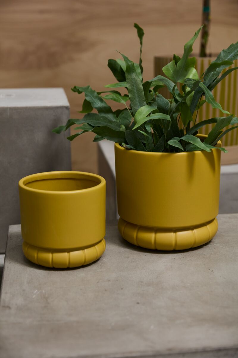 Design Shop Fara Pot 7"x 6.5"