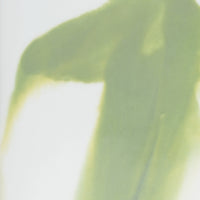 Chelsea House Green Jizhou Vase (Lg)