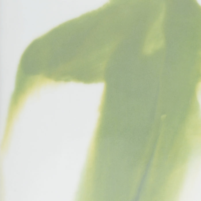 Chelsea House Green Jizhou Vase (Lg)