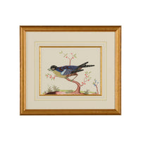 Chelsea House Blue Bird
