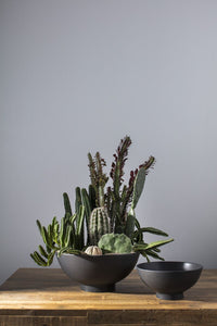 Design Shop Fortis Bowl 12"x 5.75"