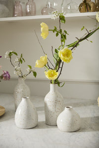 Design Shop Francesca Budvase 5"x 6.25", Set of 2