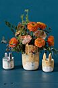 Design Shop Frolic Pot 4.5" x 7.25"