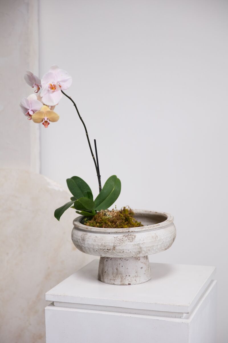 Design Shop Garance Footed Bowl 14.75"x 9.75"