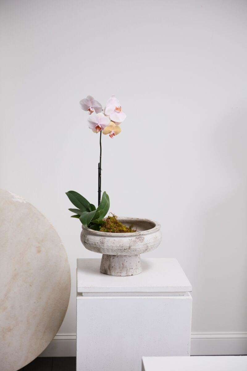 Design Shop Garance Footed Bowl 14.75"x 9.75"