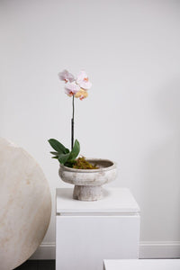 Design Shop Garance Footed Bowl 14.75"x 9.75"