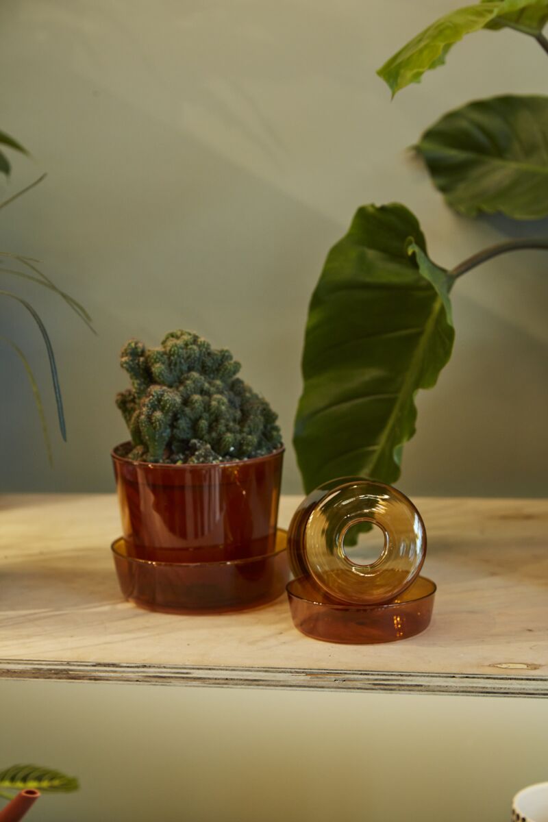 Design Shop Glass Pot with Saucer 4.75"x 4"