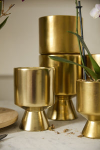 Design Shop Gold De Vil Pot 5.25"x 7.5"