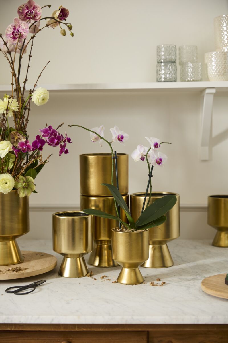 Design Shop Gold De Vil Pot 6.5"x 9.25"
