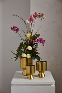 Design Shop Gold De Vil Pot 5.25"x 7.5"