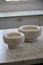 Design Shop Grayton Compote 11"x 5.75"