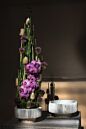 Design Shop Grayton Compote 11"x 5.75"
