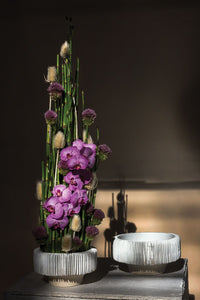 Design Shop Grayton Compote 11"x 5.75"