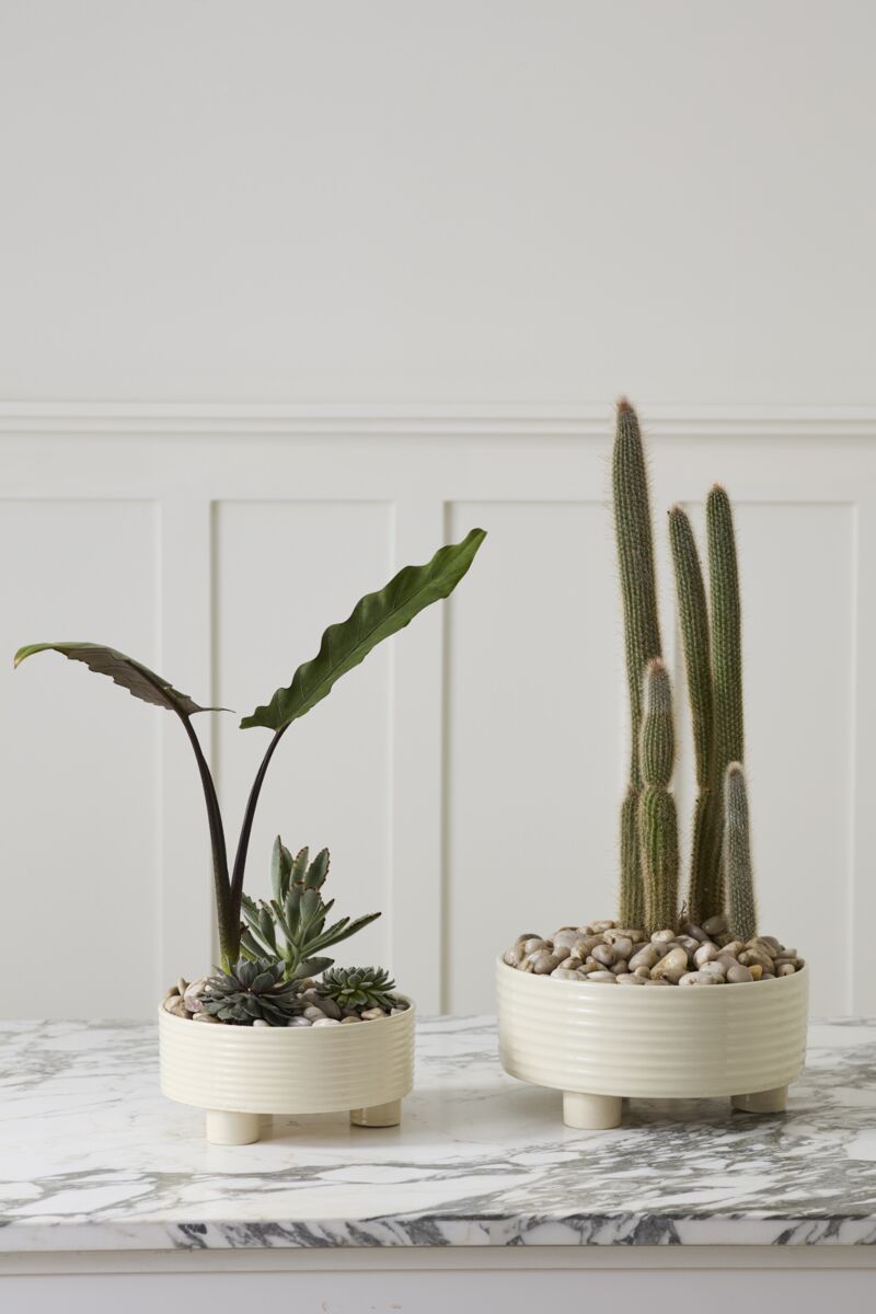 Design Shop Hailey Footed Bowl 9.5"x 4.5"