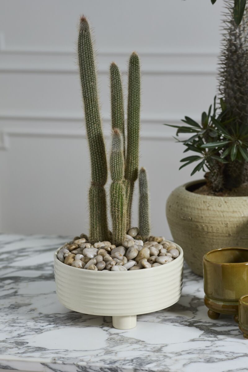 Design Shop Hailey Footed Bowl 12"x 5.5"