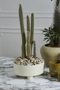 Design Shop Hailey Footed Bowl 12"x 5.5"