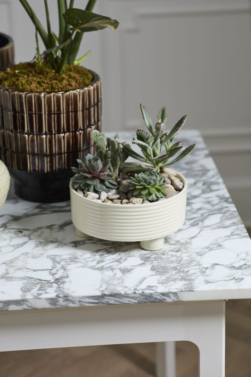 Design Shop Hailey Footed Bowl 12"x 5.5"
