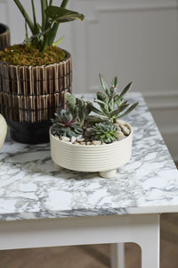 Design Shop Hailey Footed Bowl 12"x 5.5"