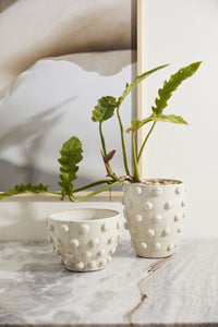 Design Shop Hanover Pot 11"x 7.5"