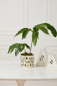 Design Shop Happy Little Trees Pot 5.25"x 4.5", Set of 2