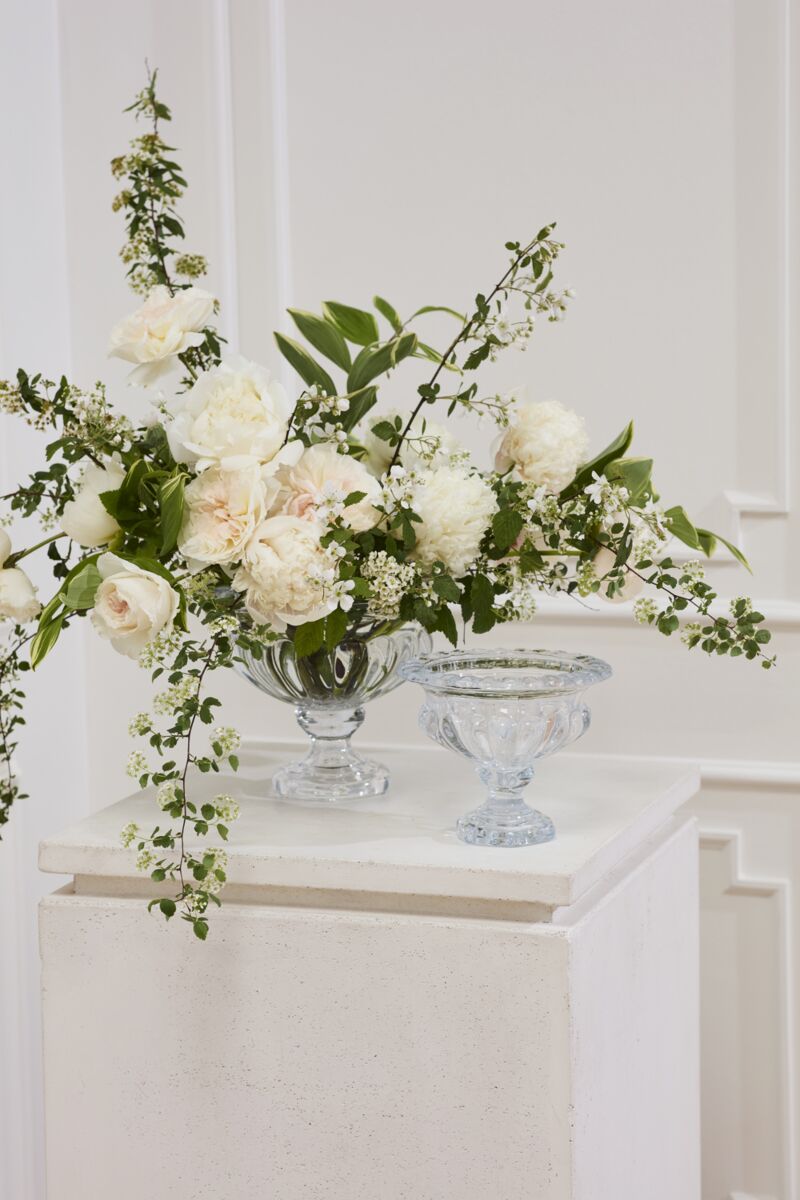 Design Shop Hathaway Compote 7.75"x 6"
