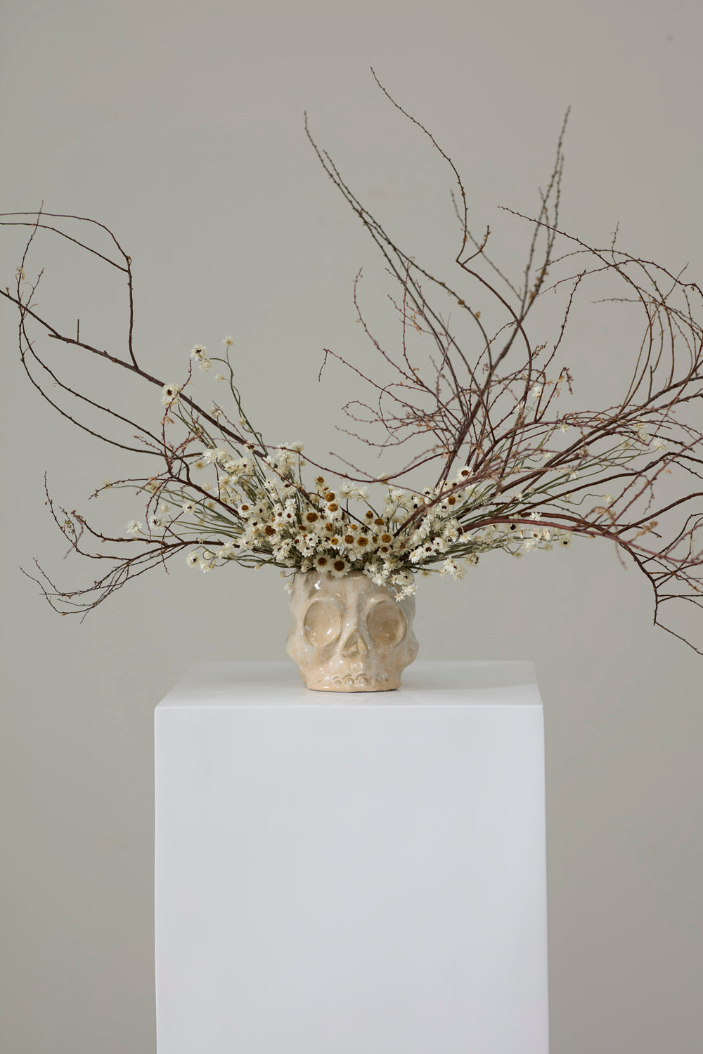 Design Shop Haunting Skull Pot 5.5"x 4.75"x 4.25"