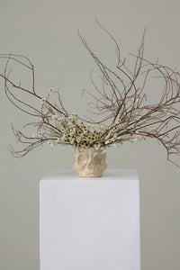 Design Shop Haunting Skull Pot 5.5"x 4.75"x 4.25"