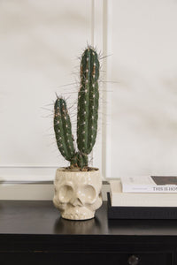 Design Shop Haunting Skull Pot 5.5"x 4.75"x 4.25"