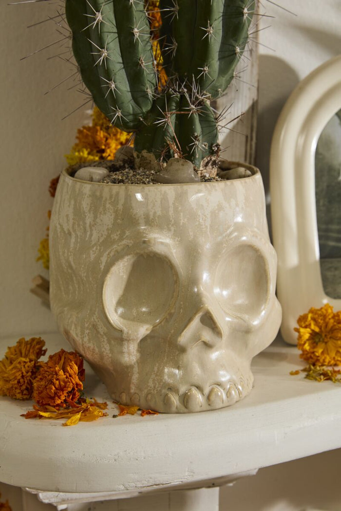 Skull-shaped pot with a cactus on a white surface with marigold flowers.