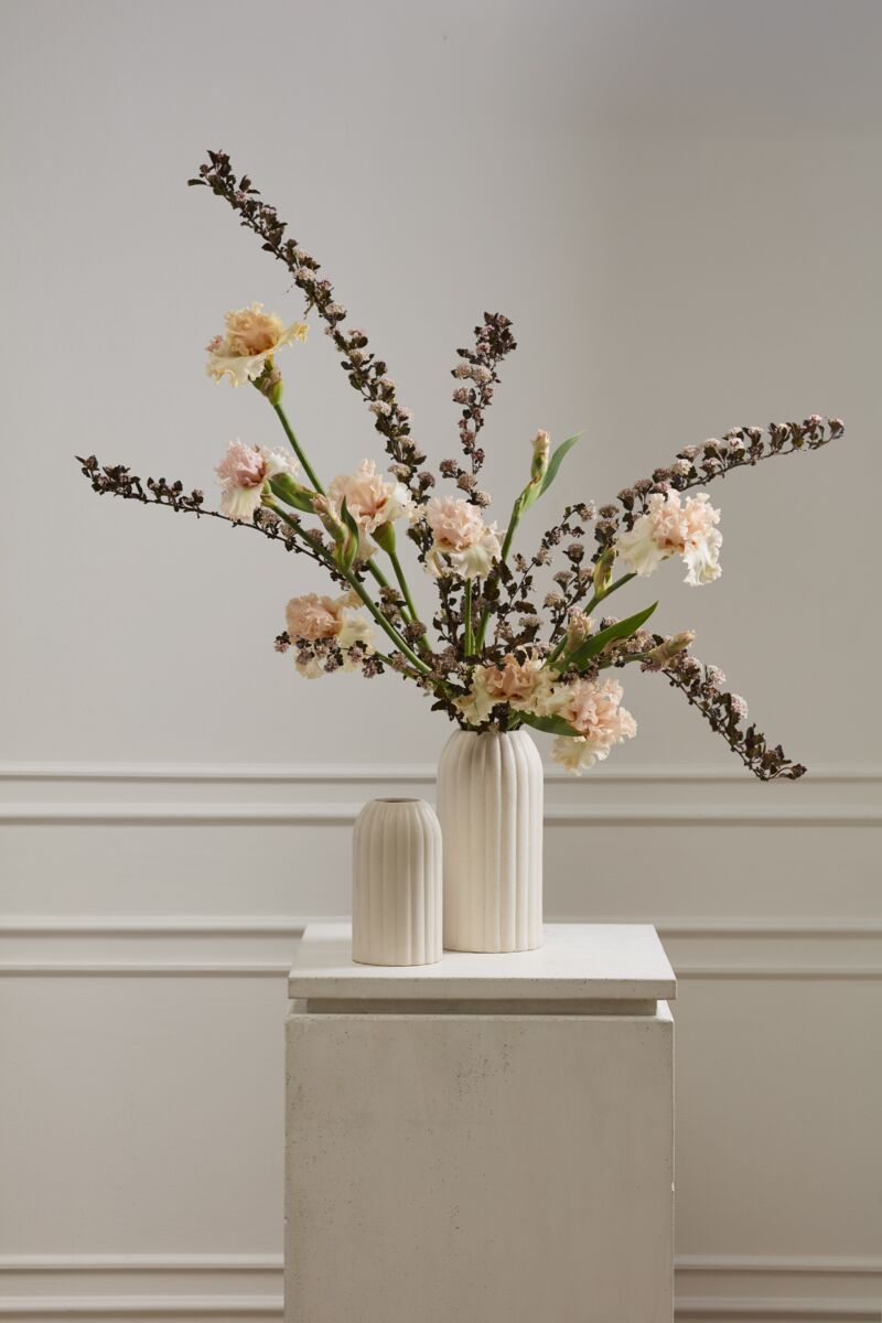 Design Shop Heights Vase 5.75"x 11.75"