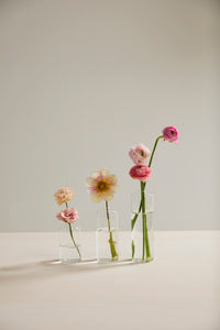 Design Shop Highball Budvase 2.25"x 4", Set of 4