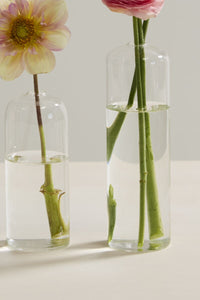 Design Shop Highball Budvase 2.25"x 8", Set of 4