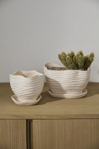 Design Shop Highland Pot with Saucer 9"x 6"x 6"
